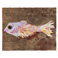 Pesce - 2009 | 94cm X 118 cm - olio su cartone, trattato con acrilico, resine e smalti | Gianna Moise