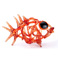 Pesce Rosso 2012 - 45cm x 35cm - vetro fusione fornace Murano | Gianna Moise