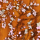 Fiori di mandorlo rosa 2010 - 40cm x 30cm, olio e china su plexiglass sopra un cartone telato resine e acrilico | Gianna Moise
